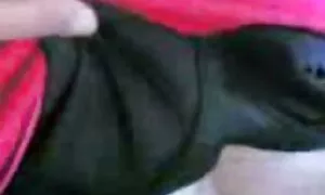 Poussin mature avec des tatouages ​​baise un coq noir porno en hd gratuit