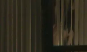 Maçon Laila xxx hd gratuit