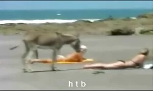 Chat de l'ombre porno francais hd 04